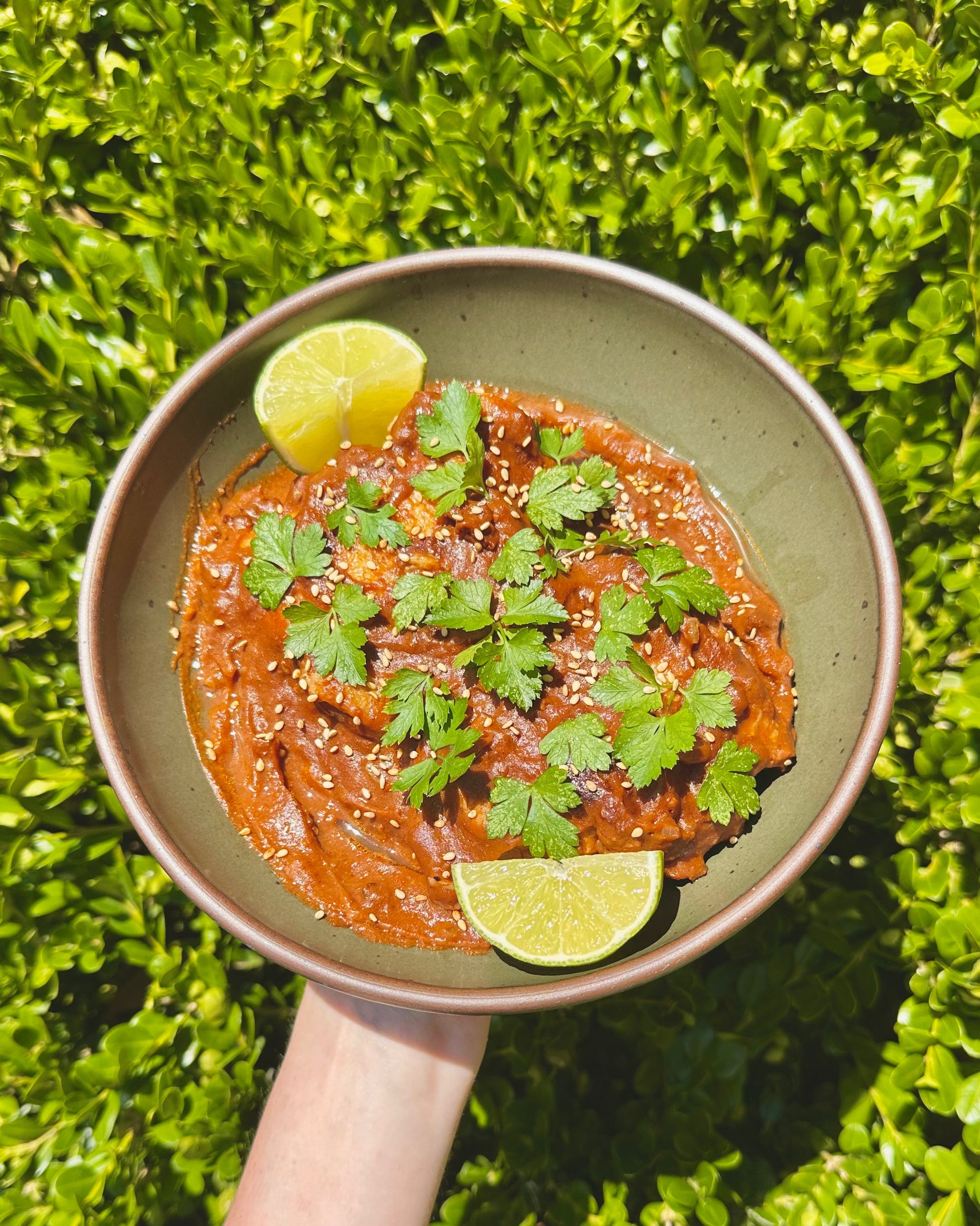 Mole-Style Chicken Thighs